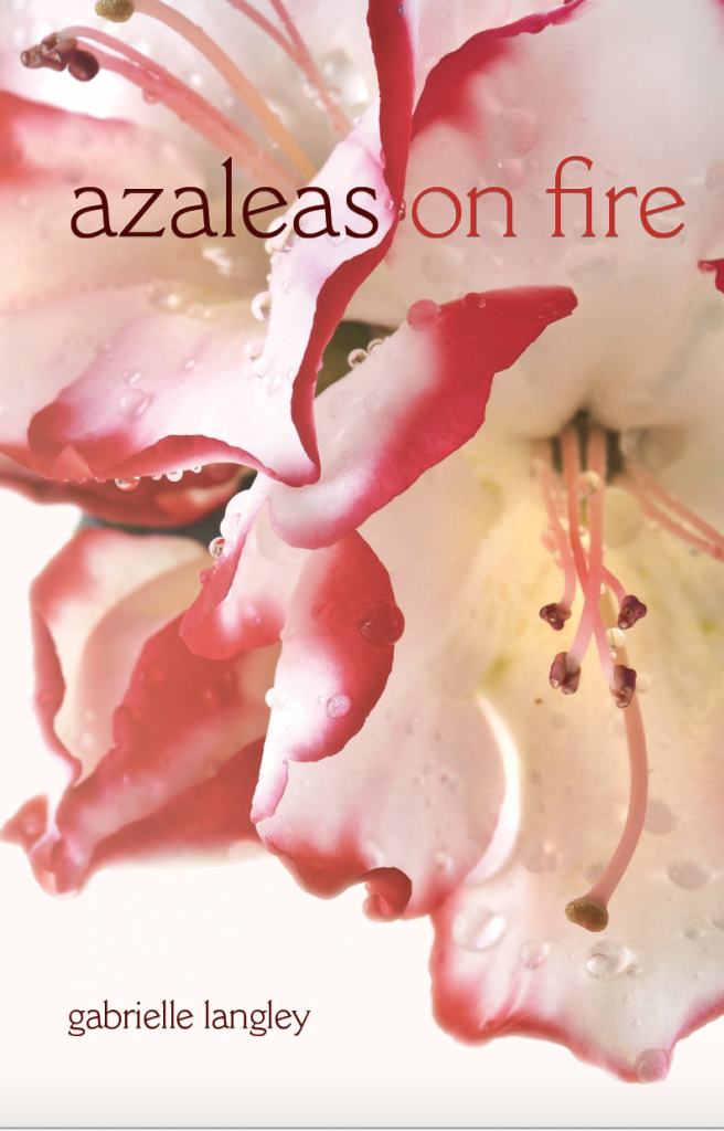 Azaleas on Fire is the latest collection by Gabrielle Langley.
