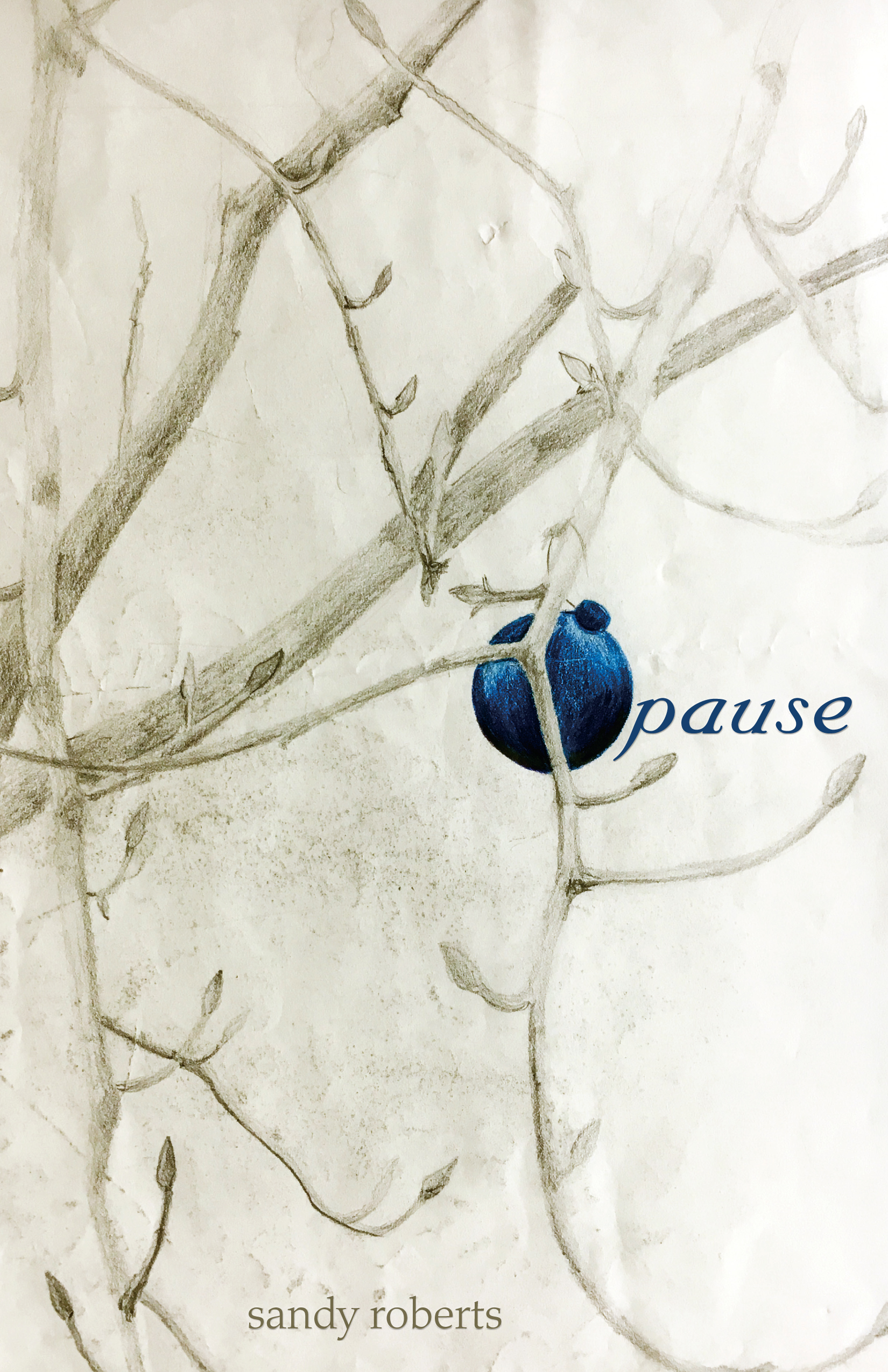 Pause front cover